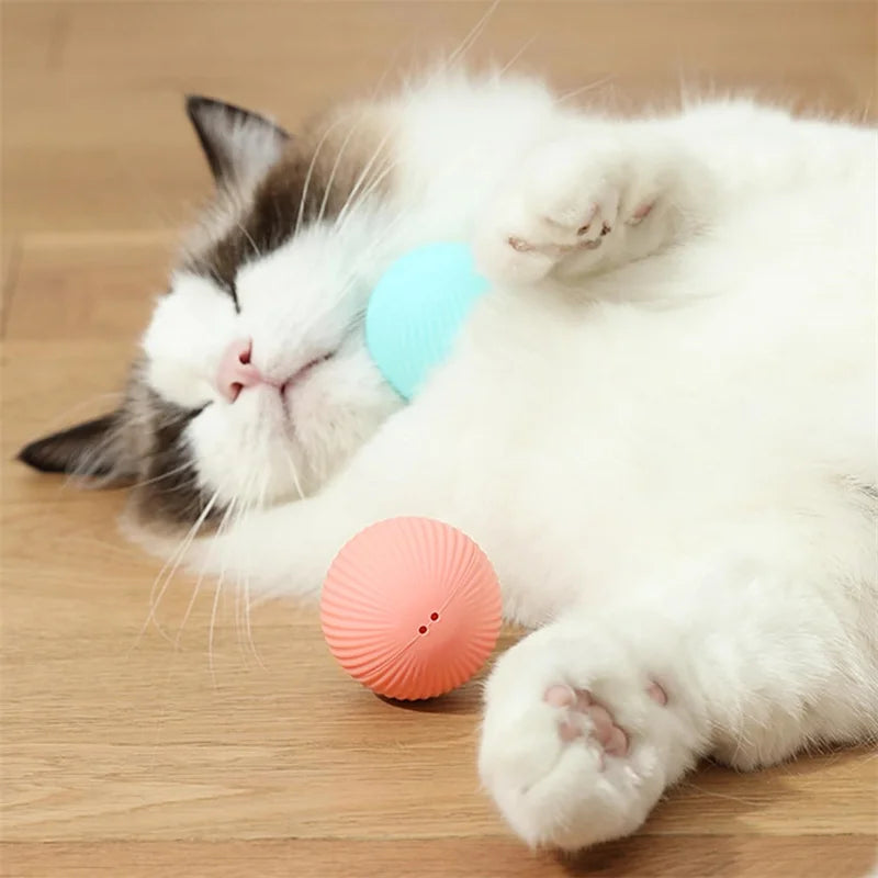 PawSphere Smart Pet Ball