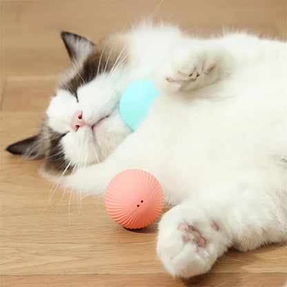 PawSphere Smart Pet Ball