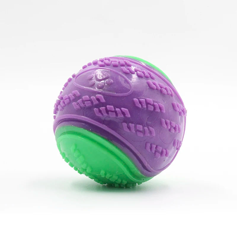 Interactive Squeaky Ball for Dogs