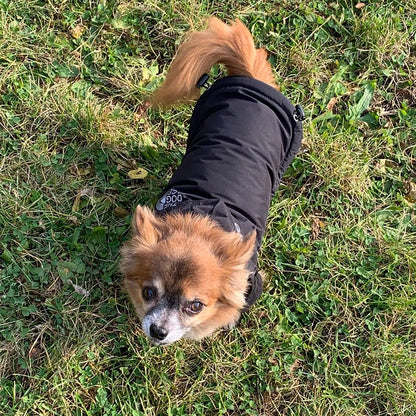 Waterproof Reflective Dog Jacket - The Dog Face