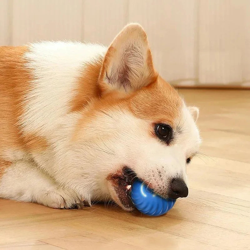 PawSphere Smart Pet Ball