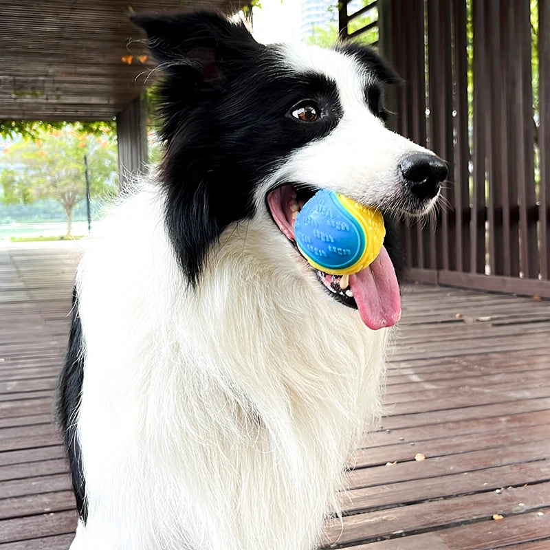 Interactive Squeaky Ball for Dogs