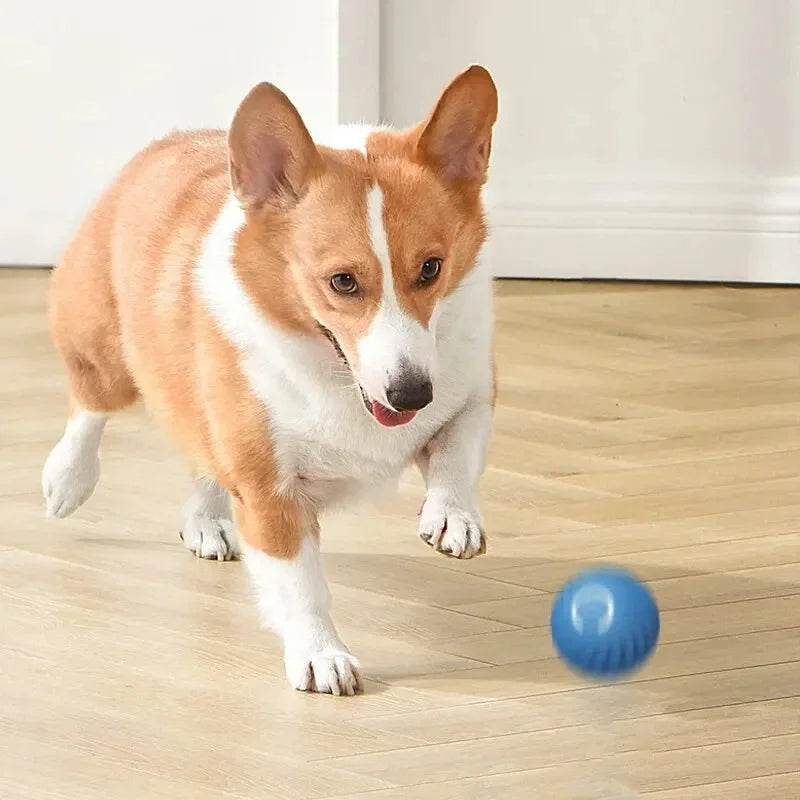 PawSphere Smart Pet Ball