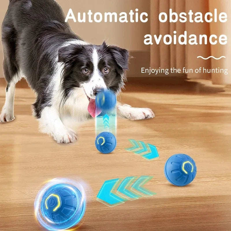 PawSphere Smart Pet Ball