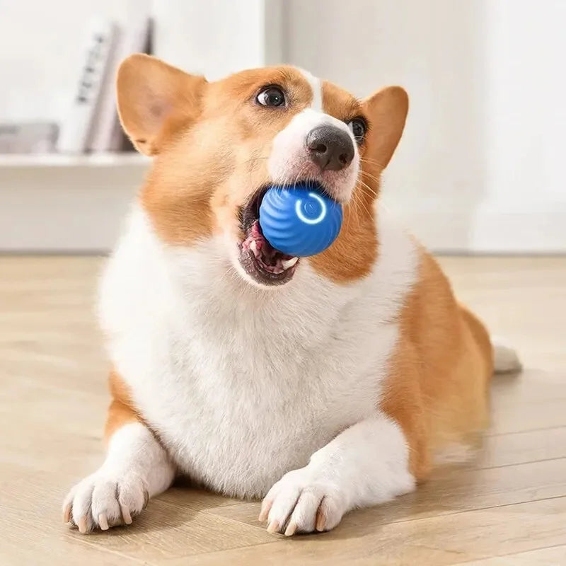 PawSphere Smart Pet Ball