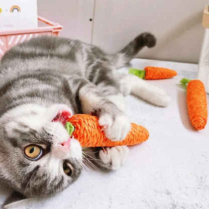 Carrot Chew Toy for Cats