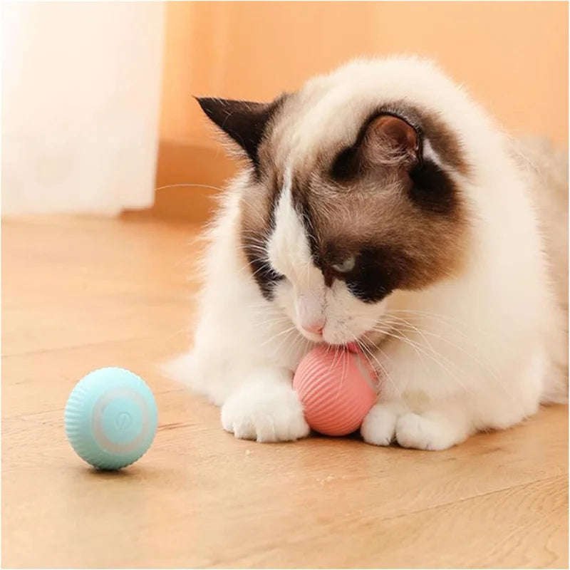 PawSphere Smart Pet Ball