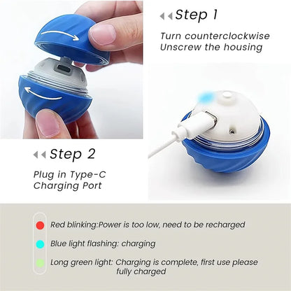 PawSphere Smart Pet Ball