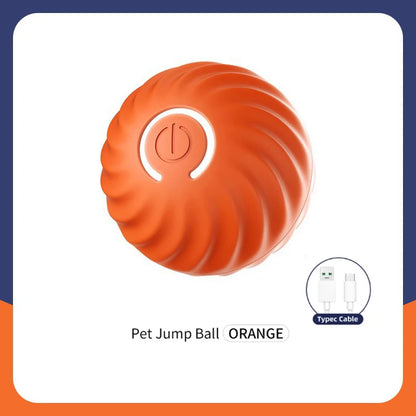 PawSphere Smart Pet Ball