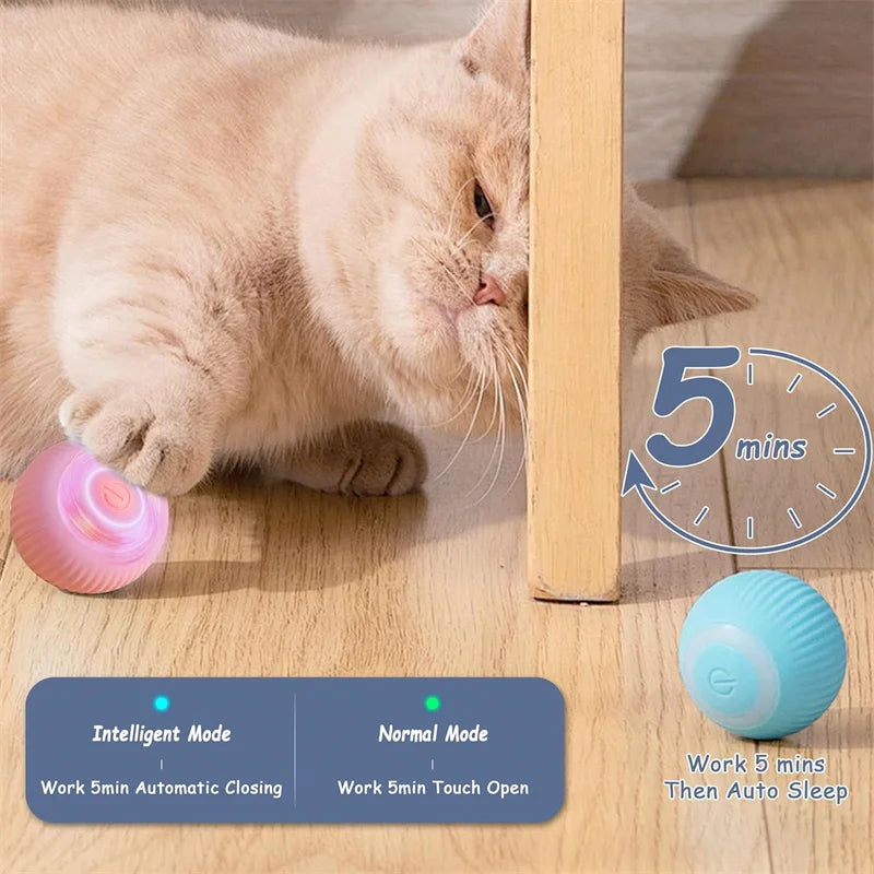 PawSphere Smart Pet Ball