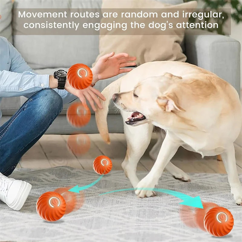 PawSphere Smart Pet Ball