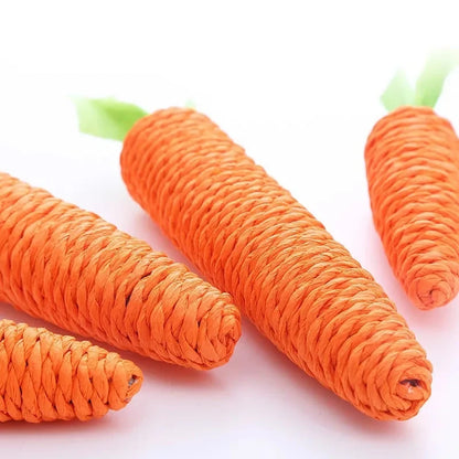 Carrot Chew Toy for Cats